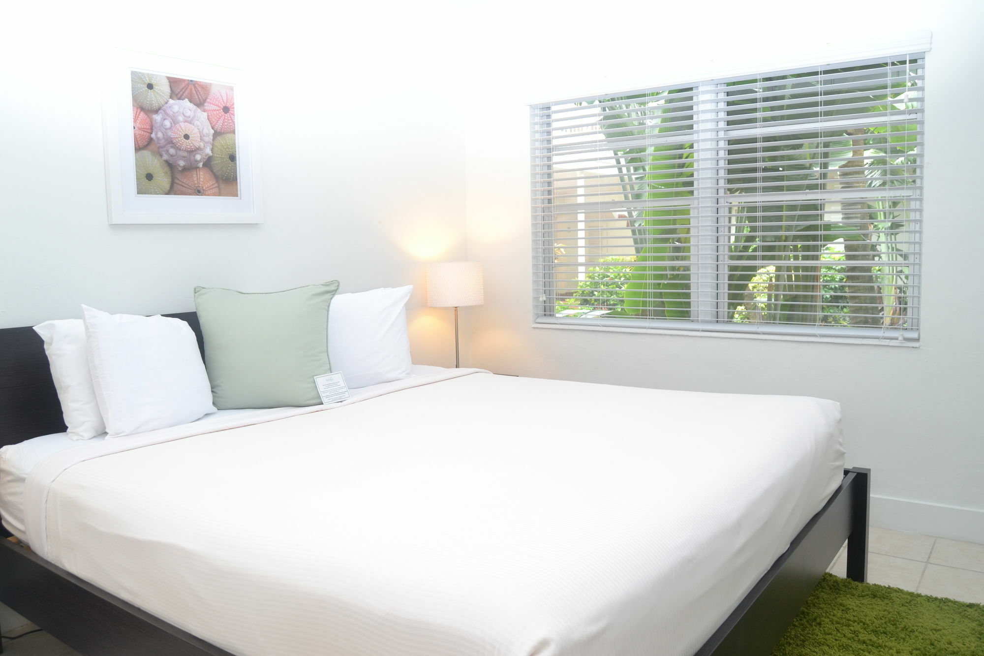 Solas A North Beach Village Resort Hotel フォート・ローダーデール エクステリア 写真